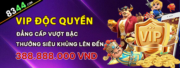 wvipvn